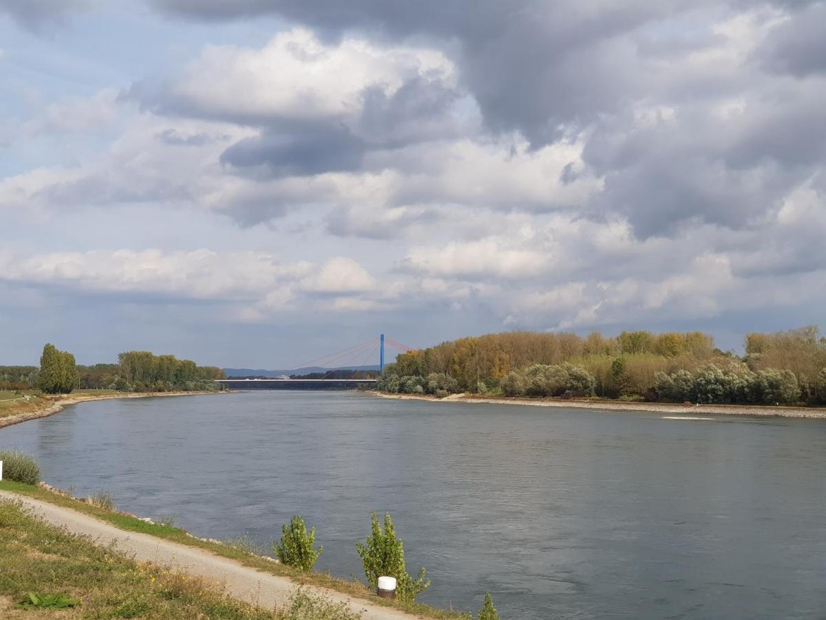 شقة Wohnen Direkt Am Rhein, Zentrums- Und Domnah, 55Qm شباير المظهر الخارجي الصورة